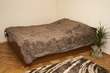 Vacation apartment, Grigorovicha-I-vul, 6, Ukraine, Lviv, 1  bedroom, 28 кв.м, 350/day