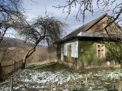 Buy a house, Вулиця Шевченка, Delyatin, Nadvornyanskiy district, Ivano-Frankivska, id 61534
